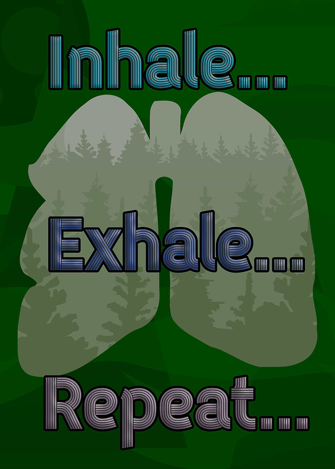 Inhale Exhale Repeat Lungs Forest