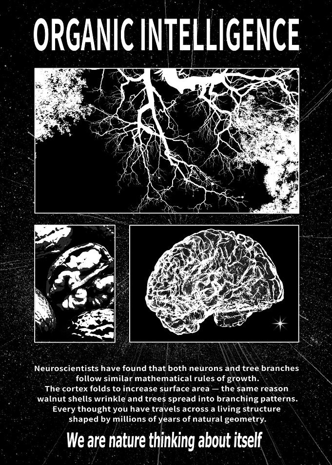 Organic Intelligence: Nature and the Brain