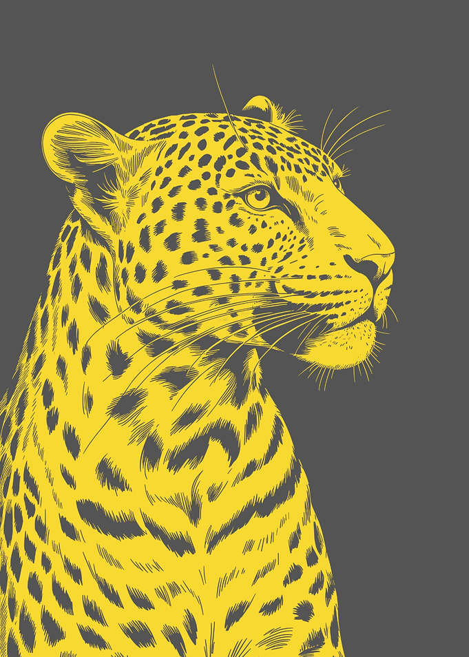 Yellow Leopard Portrait on Gray Background