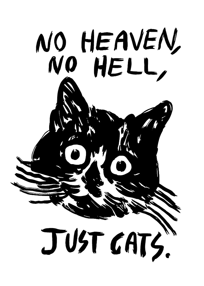 No Heaven, No Hell, Just Cats