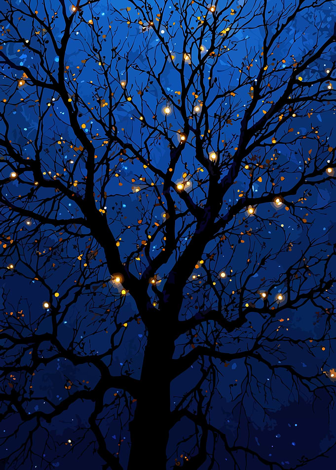 Night Tree with Lights