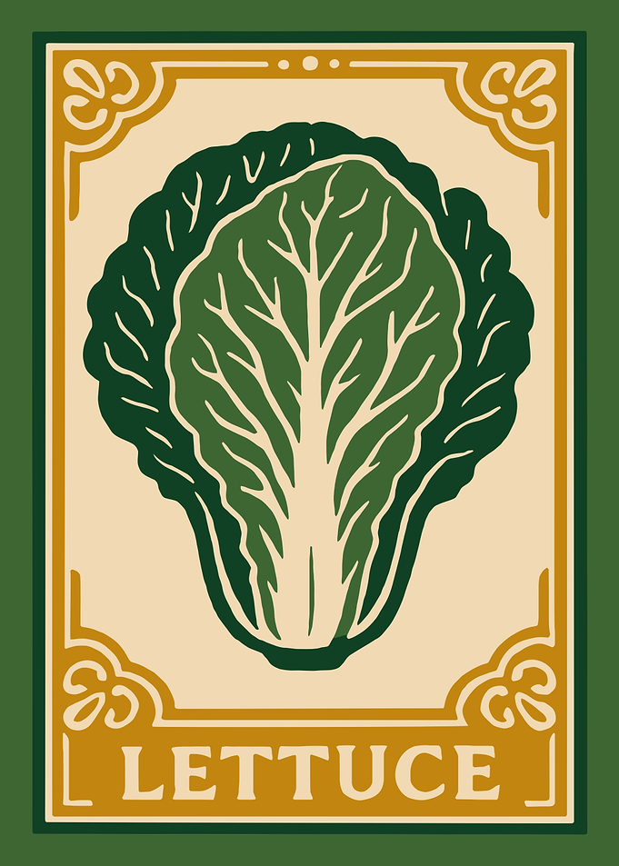 Lettuce Illustration with Decorative Border