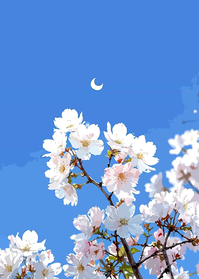 Cherry Blossoms and Crescent Moon