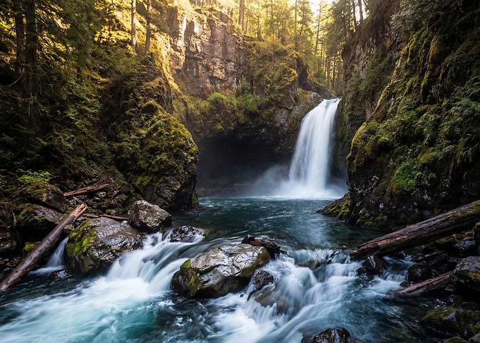Waterfall in a Lush Forest