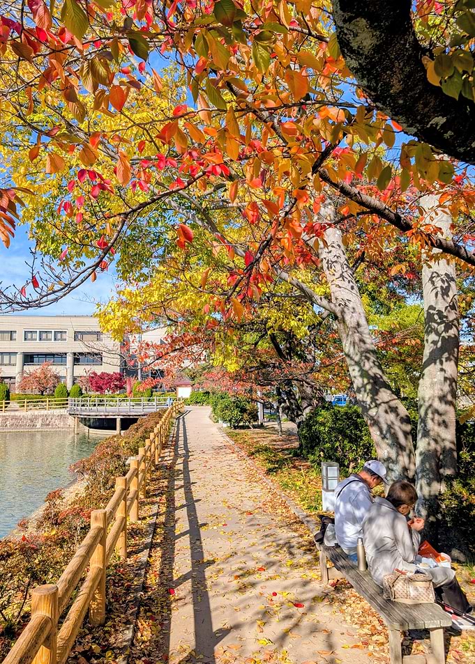 Autumn park scene with vibrant foliage