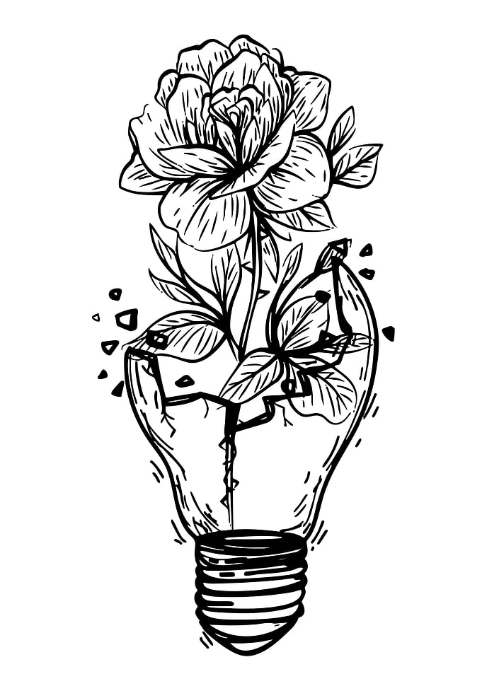 Flower Growing in Broken Lightbulb