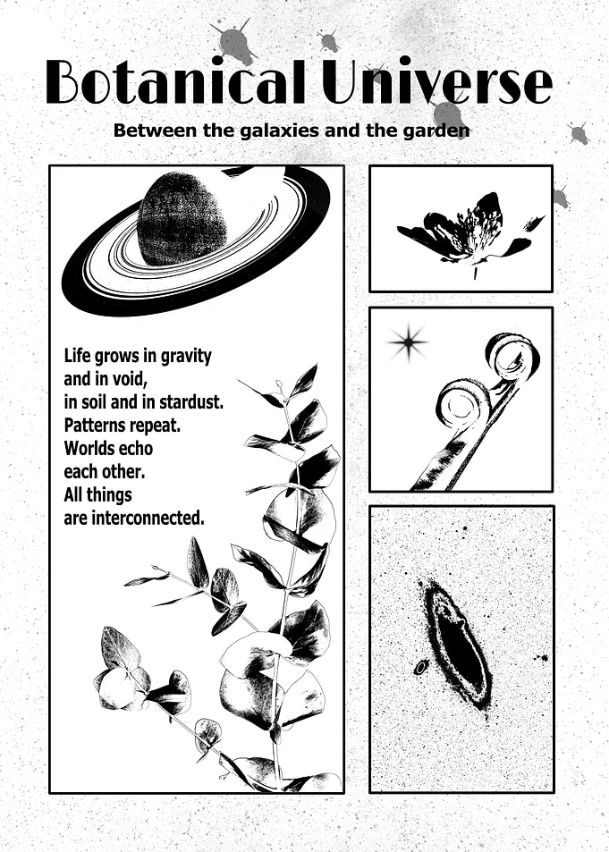 Botanical Universe Black and White Art