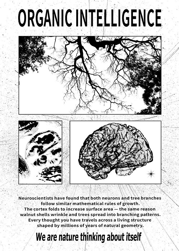 Organic Intelligence: Nature and Neurons
