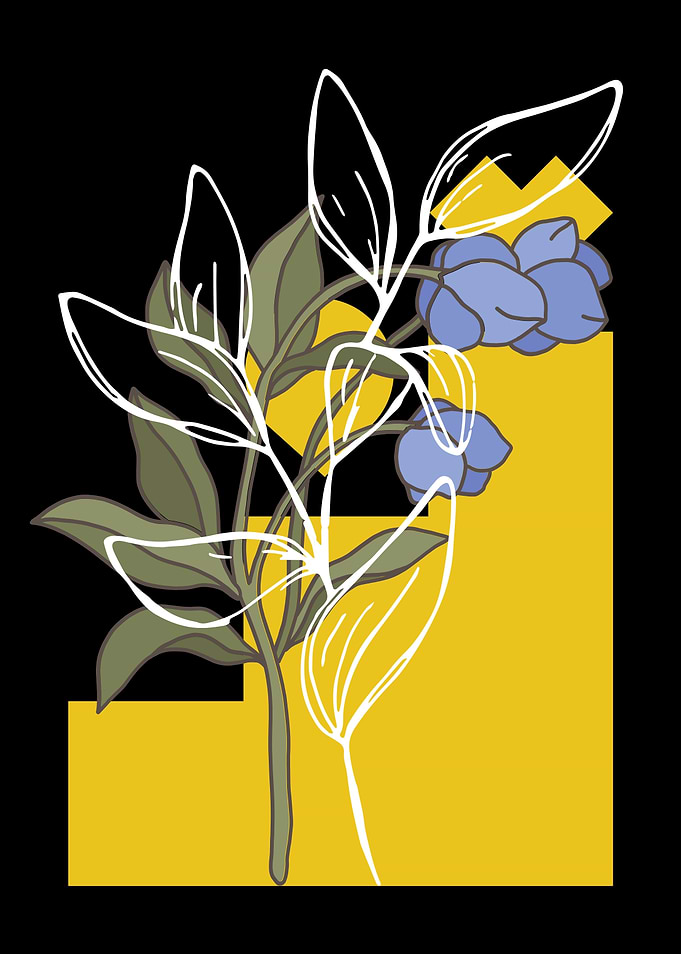Floral Illustration with Geometric Accents