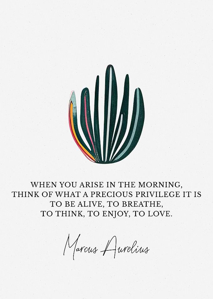 Marcus Aurelius Quote Morning Reflection