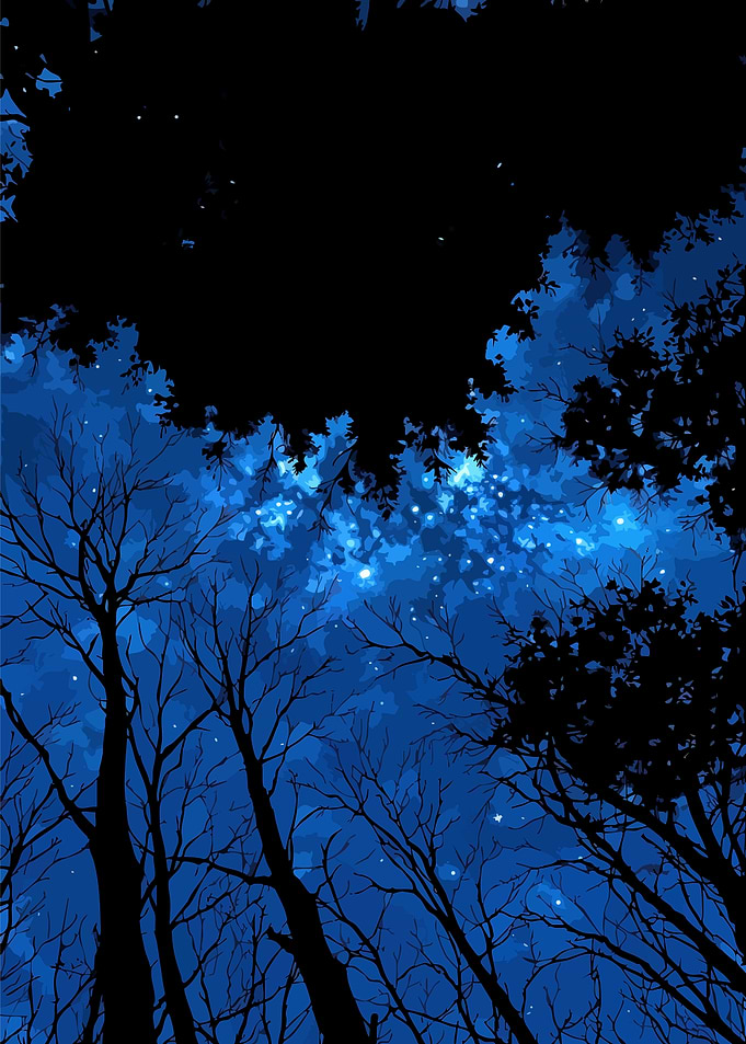 Night Sky Through Trees