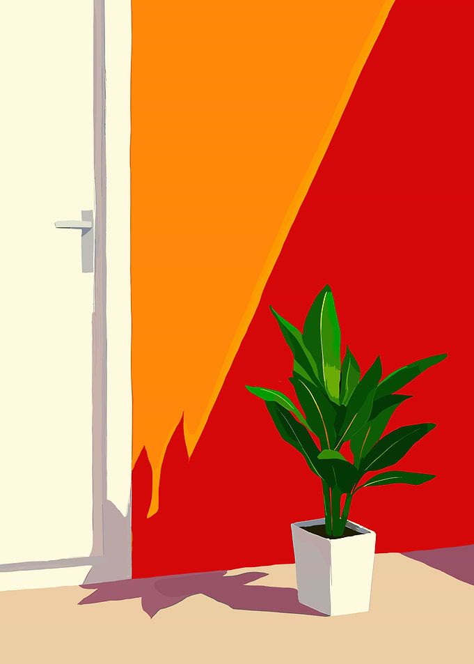 Minimalist Interior with Plant and Door