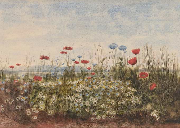 Andrew Nicholl Wildflowers