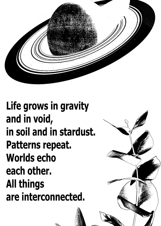 Interconnectedness: Space, Nature, and Text