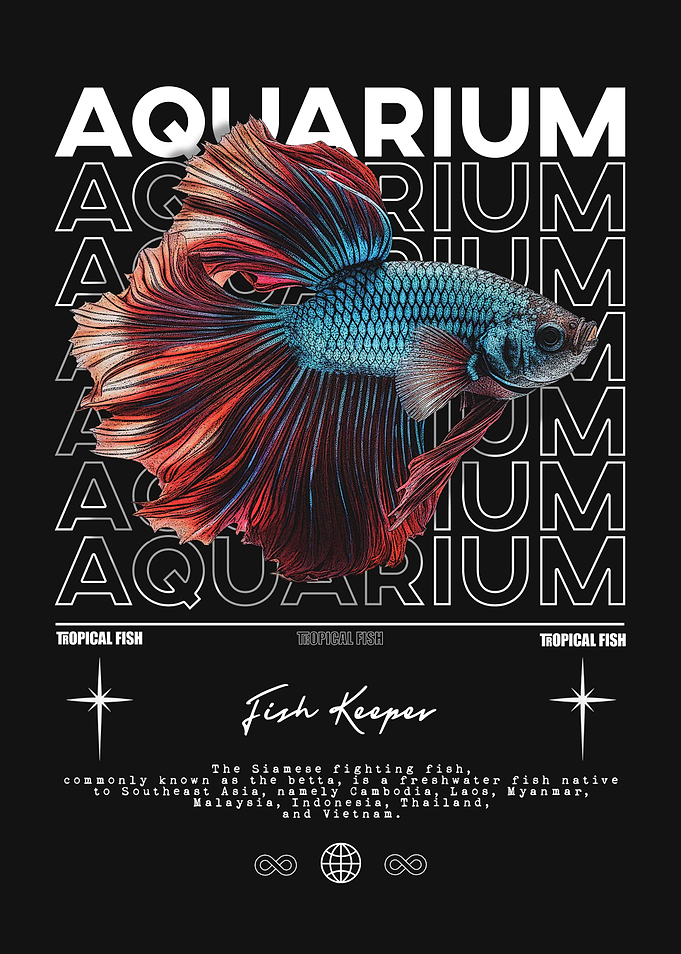 Betta Fish Keeper