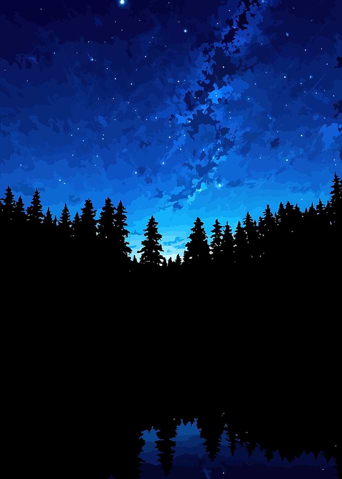 Night Sky Over Forest