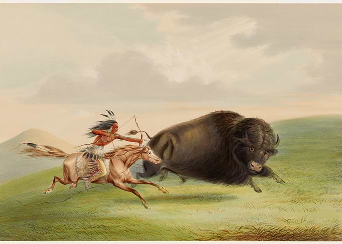 Native American Buffalo Hunt Painting