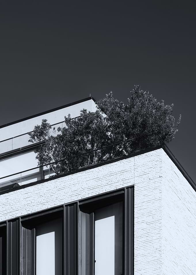 Rooftop Garden