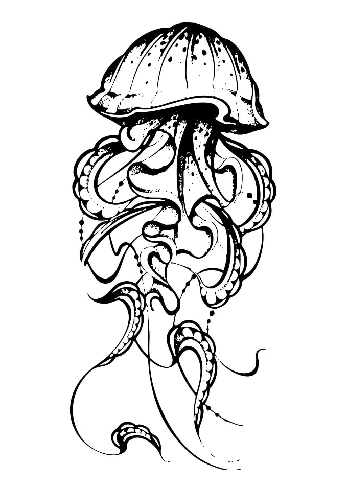 Black and White Jellyfish Illustration