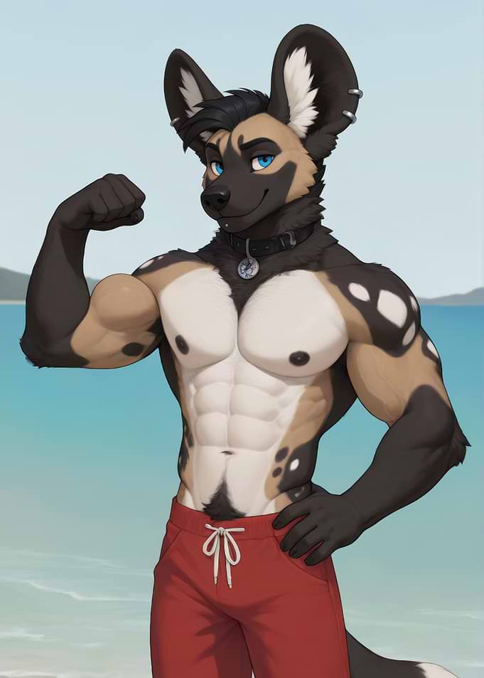 Muscular Furry African Wild Dog on Beach