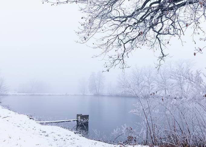 Winter Lake Scene with Frosty Trees