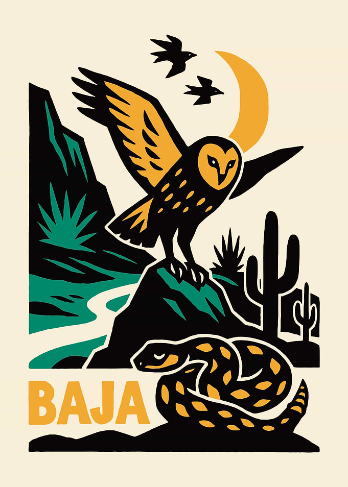 Baja Desert Wildlife Wall Art Print