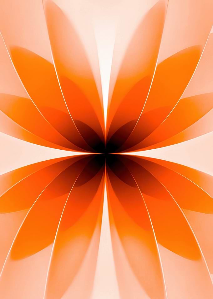 Abstract Orange Petal Design