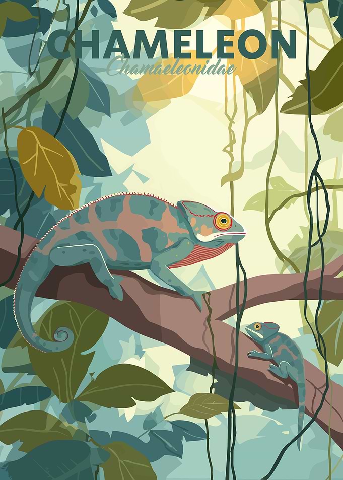 Chameleon Animal Family