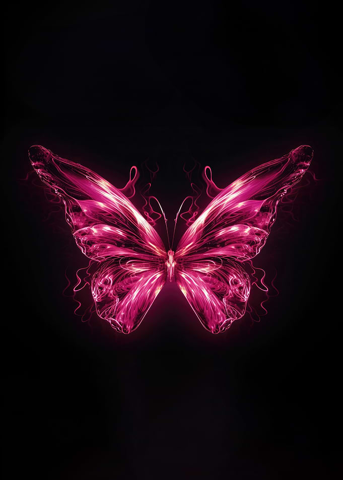 Pink Butterfly on Black Background