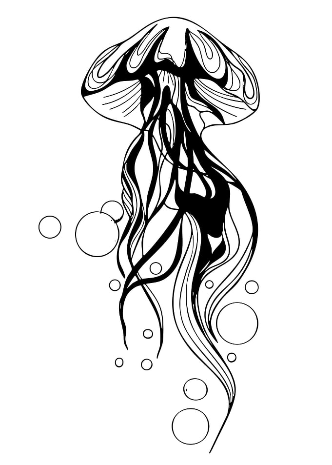 Black and White Jellyfish Illustration