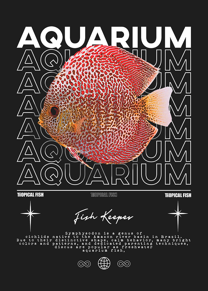 Discus Fish Keeper Tropical Fish