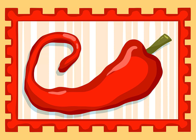 Red Chili Pepper Cartoon Illustration