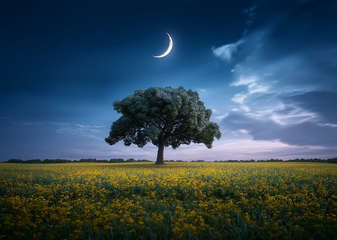 Night Field with Tree and Moon