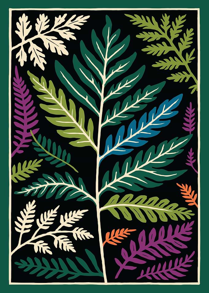 Ferns on Black Background