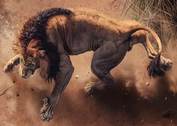Roaring Lion in Action