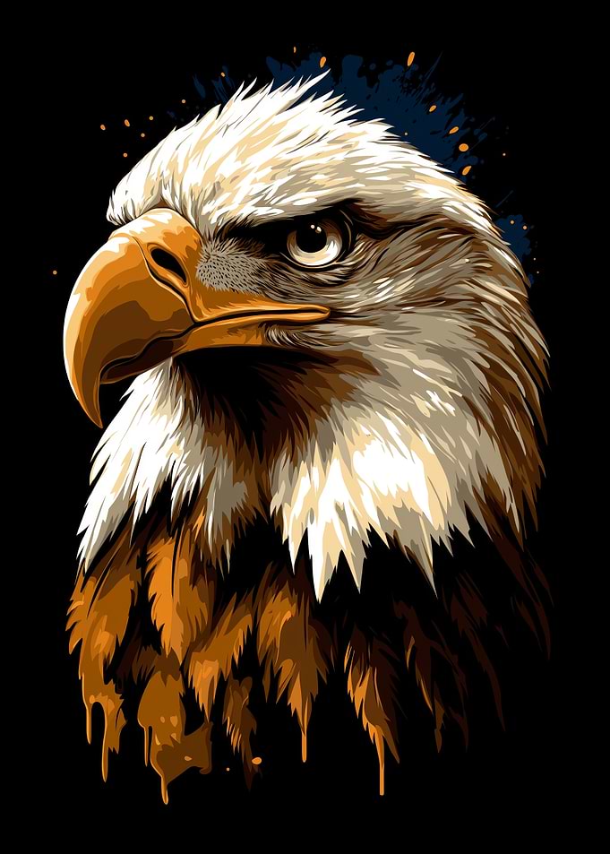 Bald Eagle Portrait on Black Background