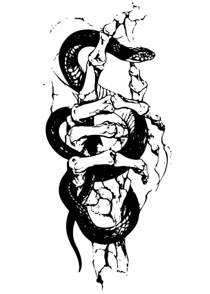 Snake and Skeleton Hand Illustration