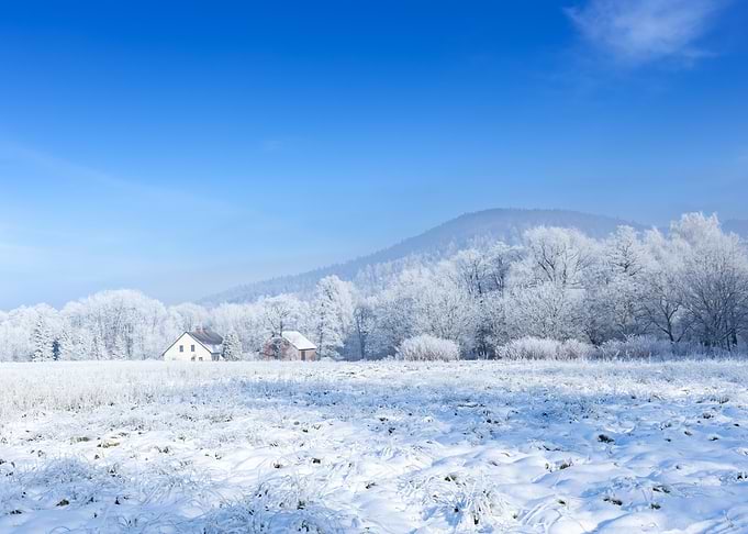 Winter Landscape with Snow-Covered Field