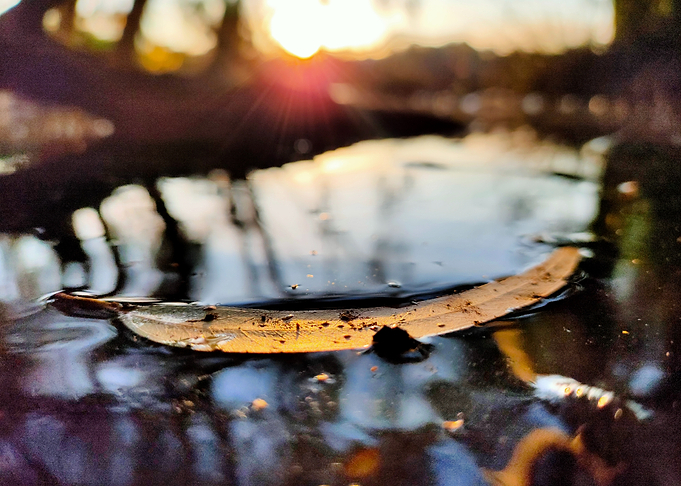 Golden Silence