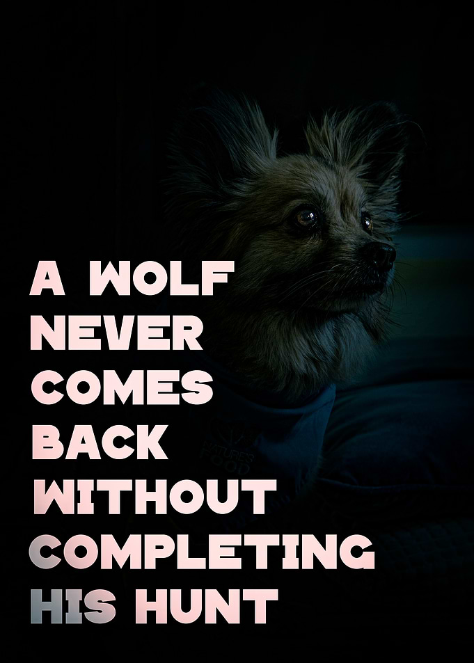 Wolf Quote