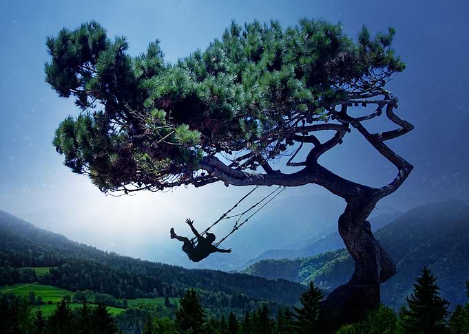 Silhouette on a Tree Swing