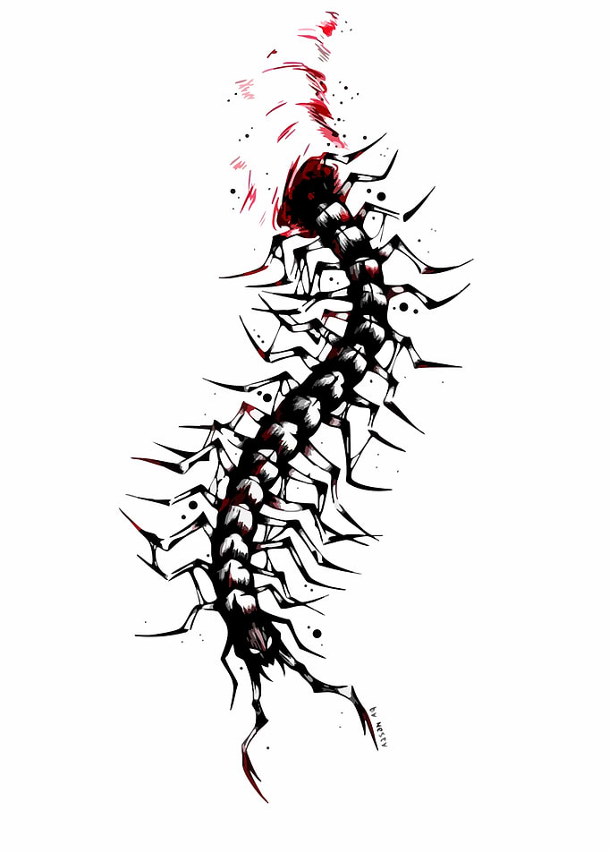 Centipede Illustration with Red Accents