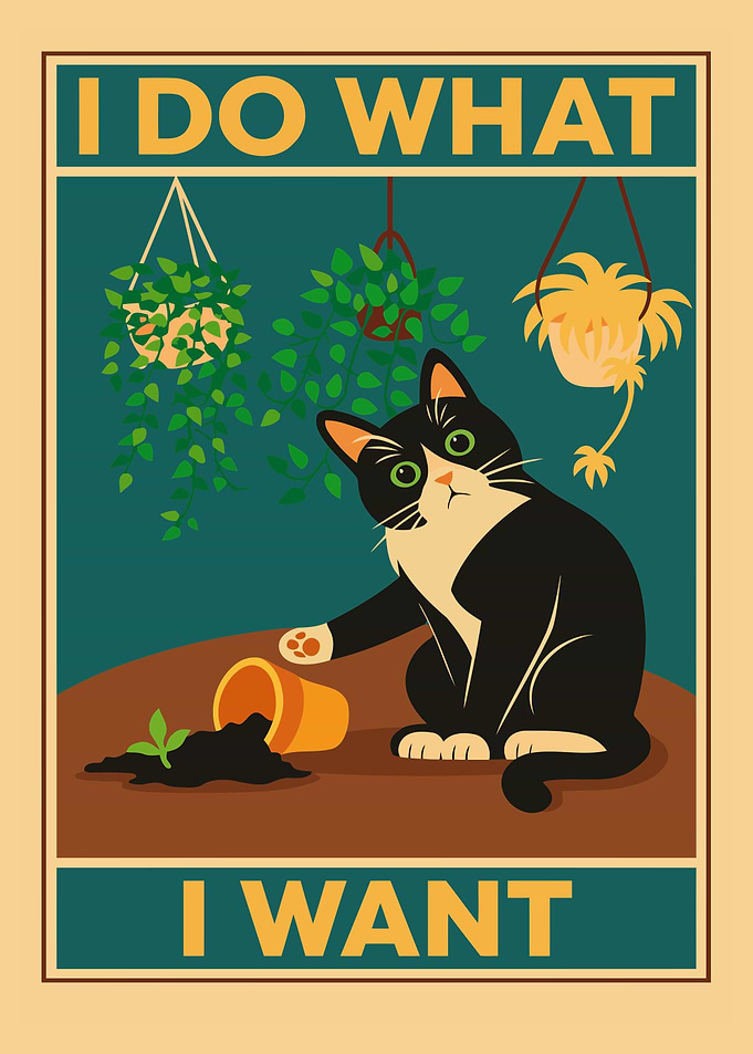 I Do What I Want Cat Poster