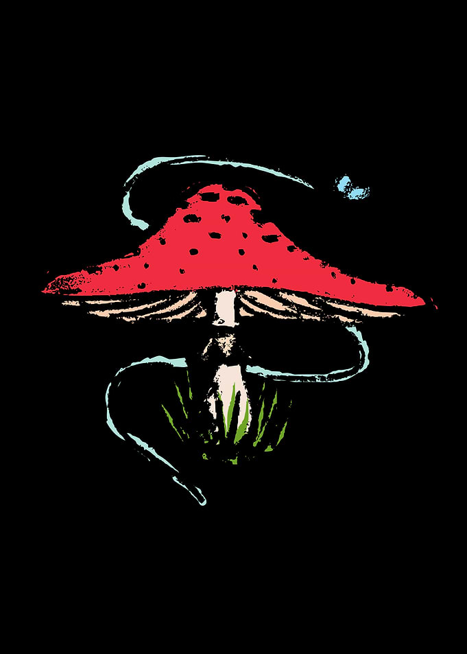 Red Mushroom with Fly
