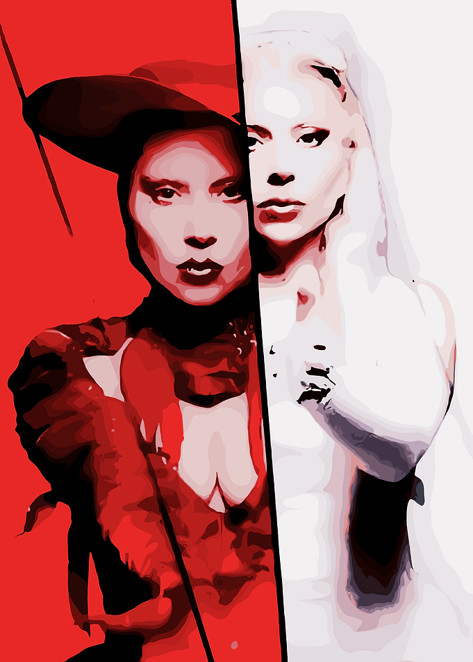 Lady Gaga Split Portrait