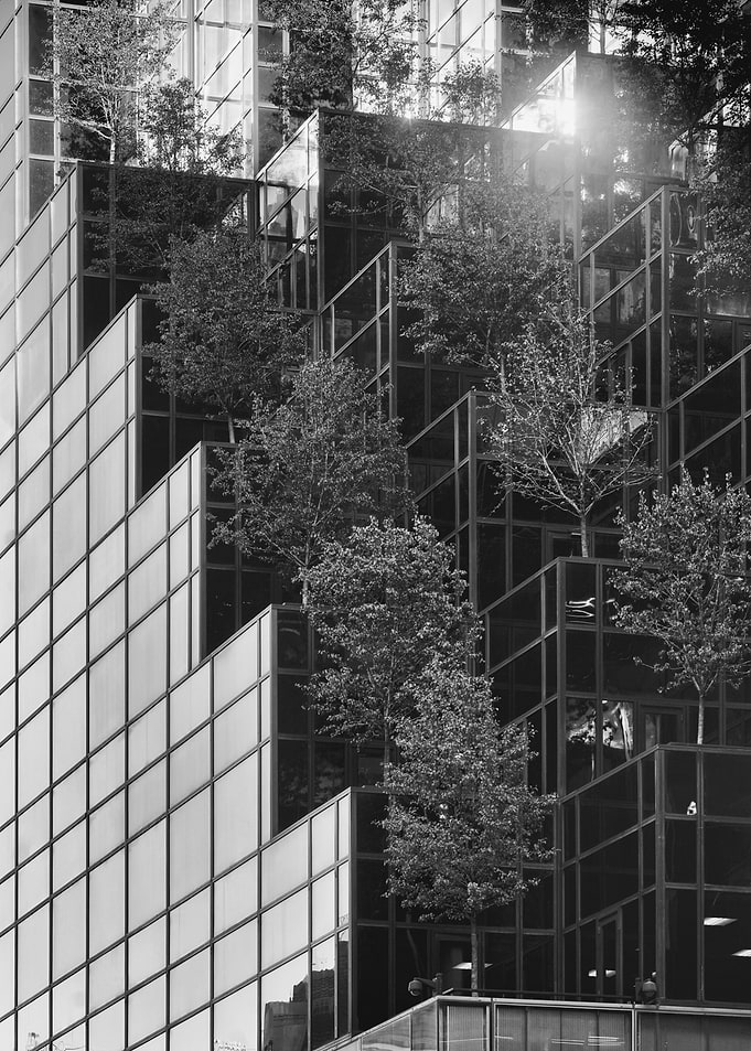 Tree facade