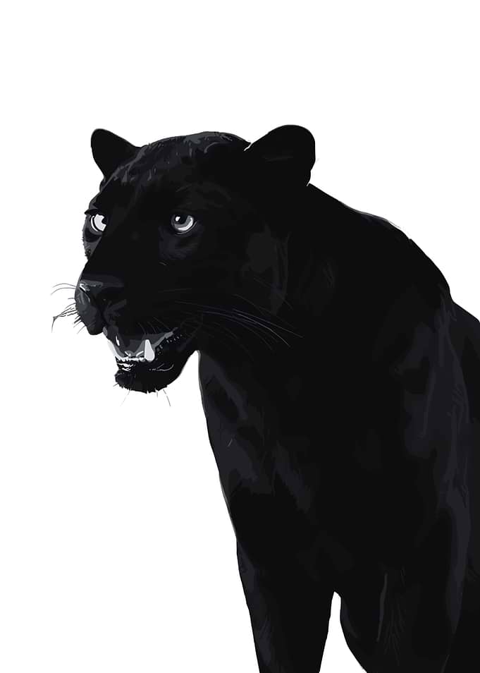 Black Panther Portrait