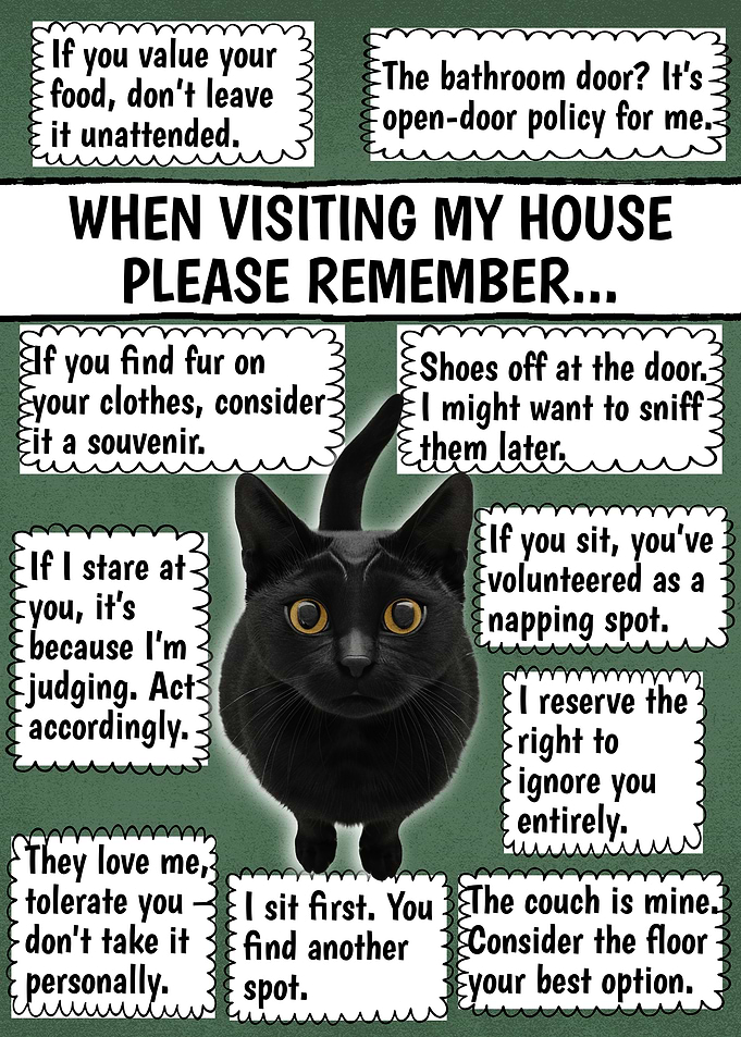 House Rules with a Black Cat