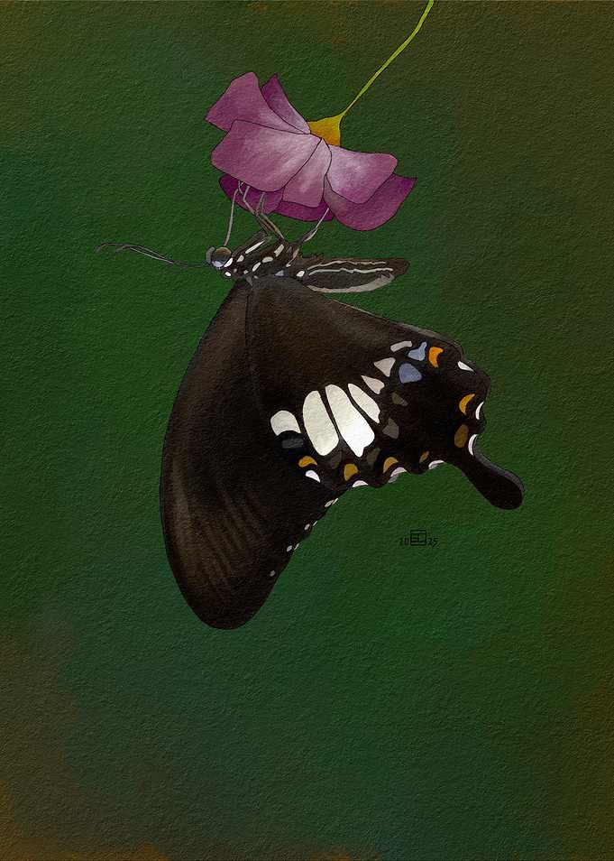 Butterfly on Flower Watercolor Painting