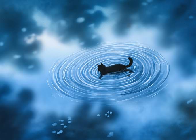 Black Cat in Water Ripples